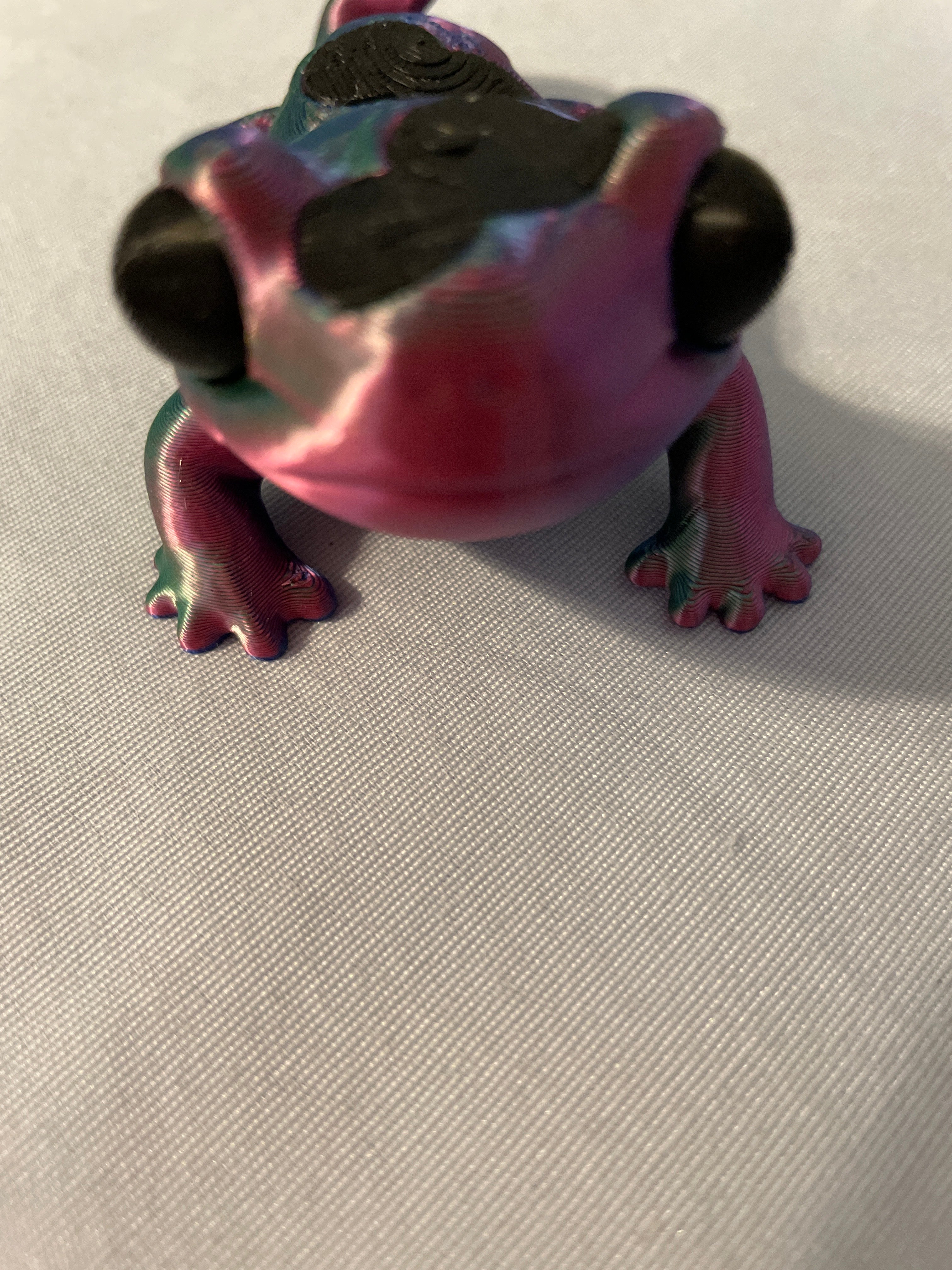 Lizard