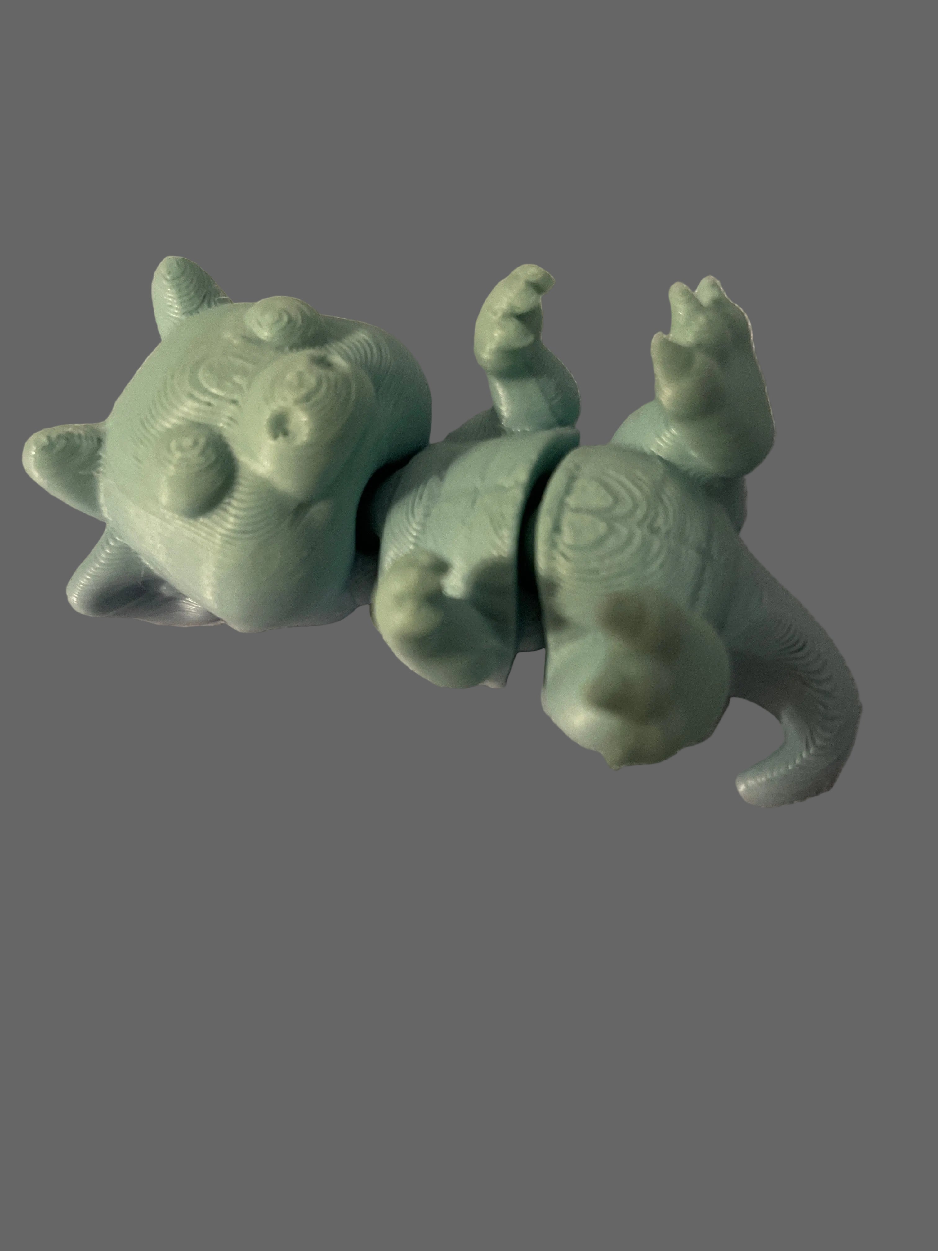 Baby sleeping dragon