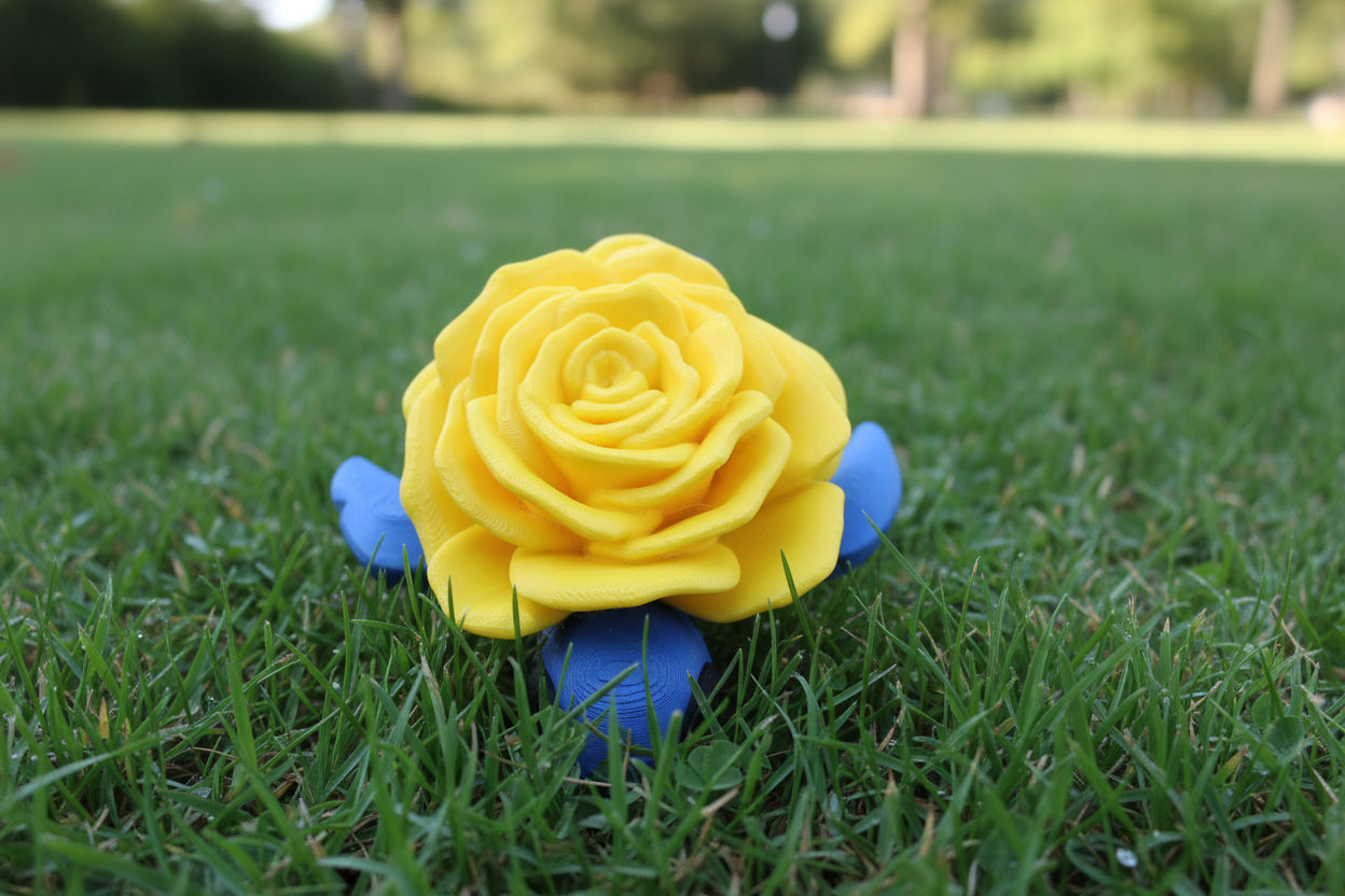 A Turtle Blossom