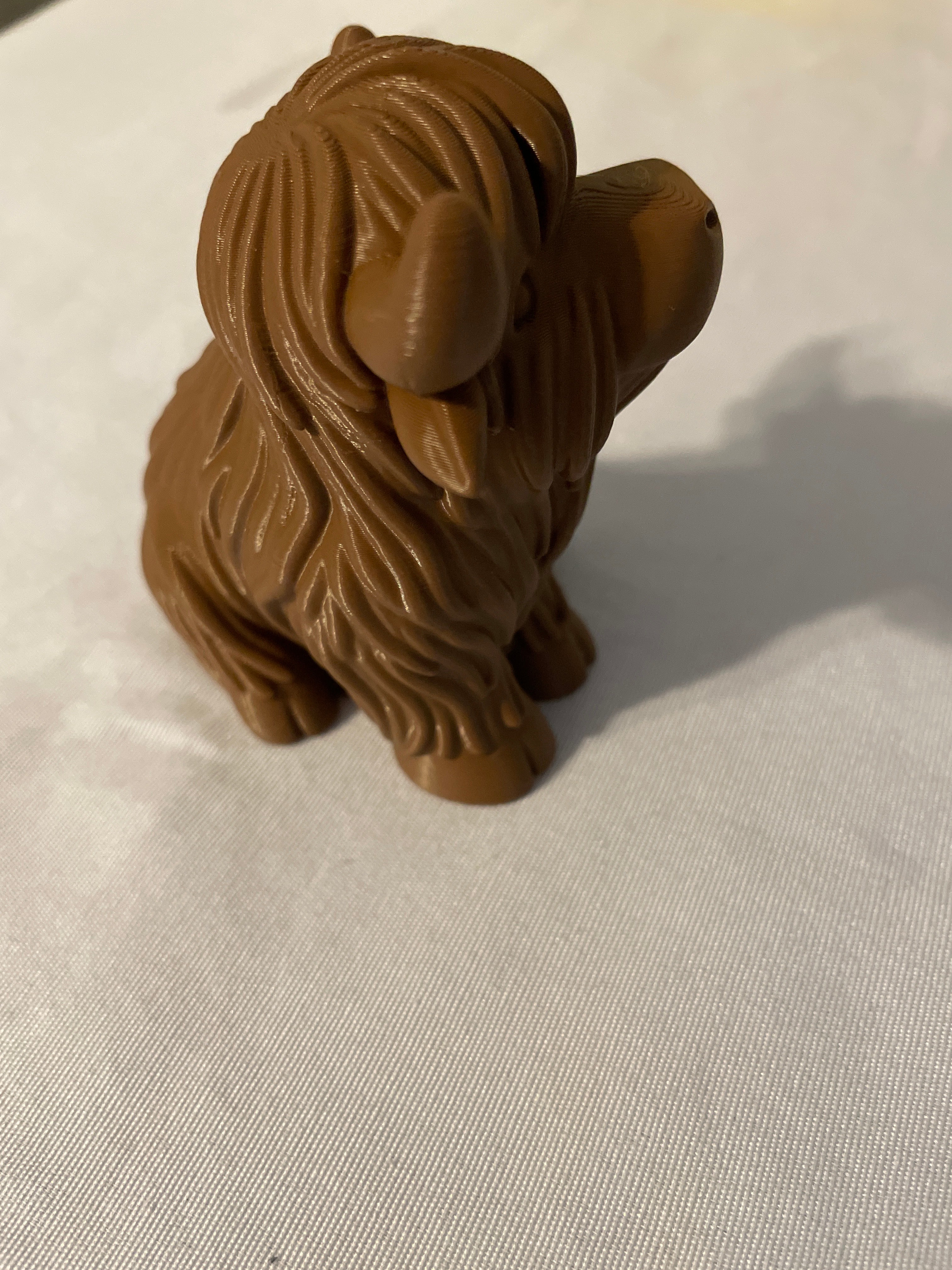 Highland Cow