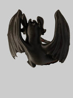 How to train your dragon Toothless